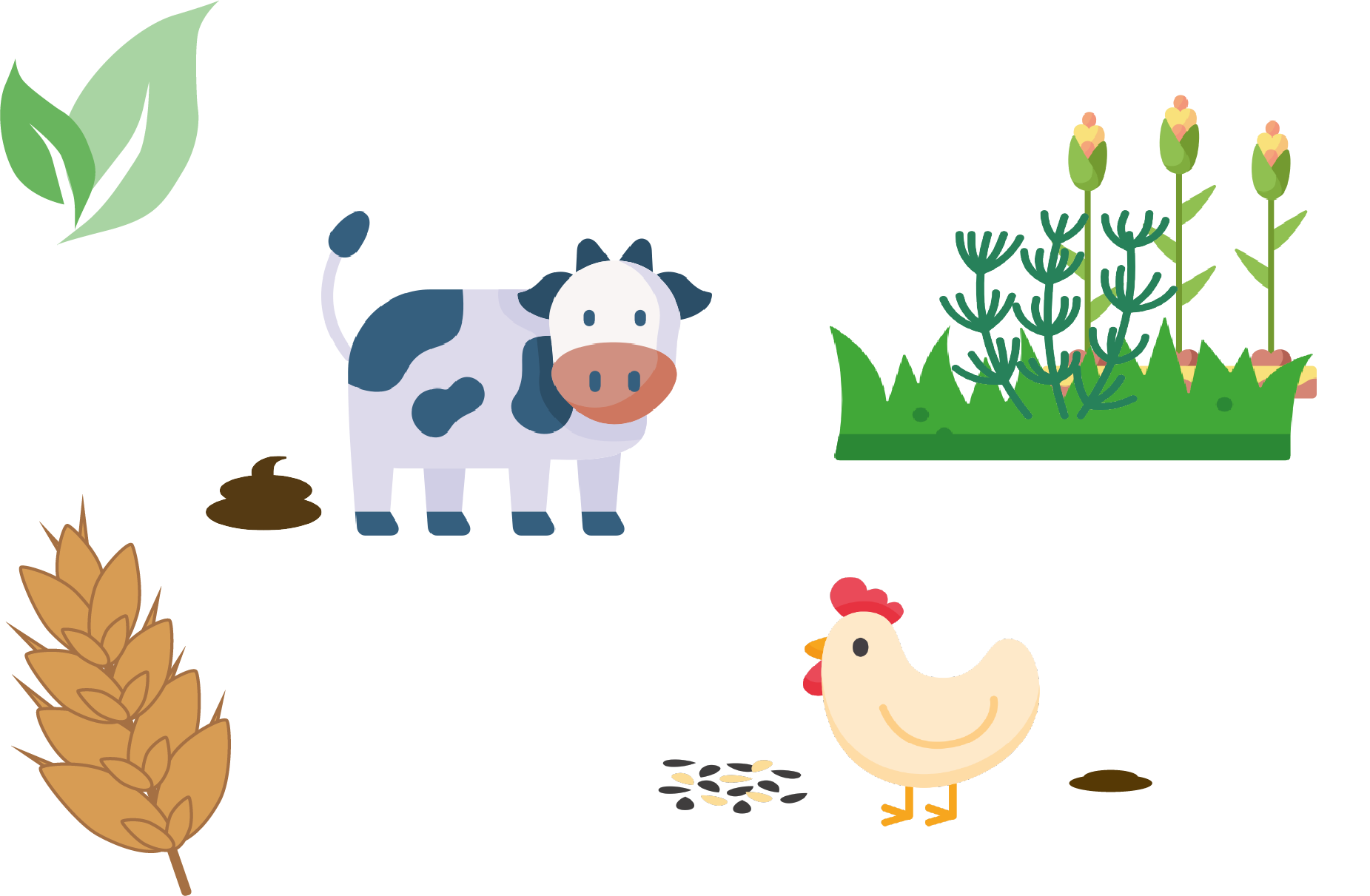 Illustration Agriculture